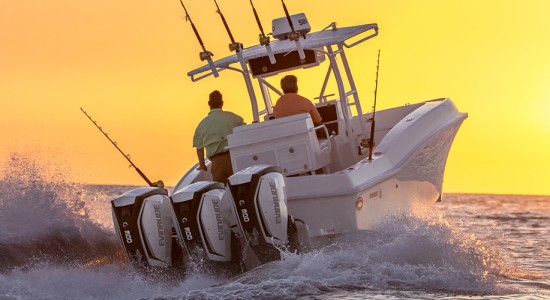 evinrude-g2-motor-popa-etec