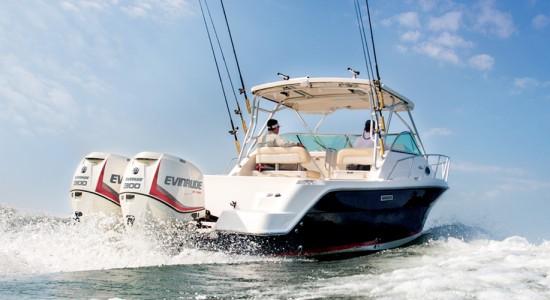 evinrude-etec-motor-popa